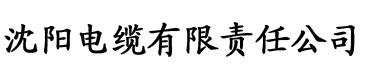 七星影视第四色电缆厂logo